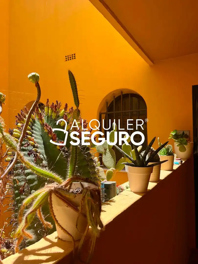 Flat for rent in El Ejido  with Swimming Pool and Furnished