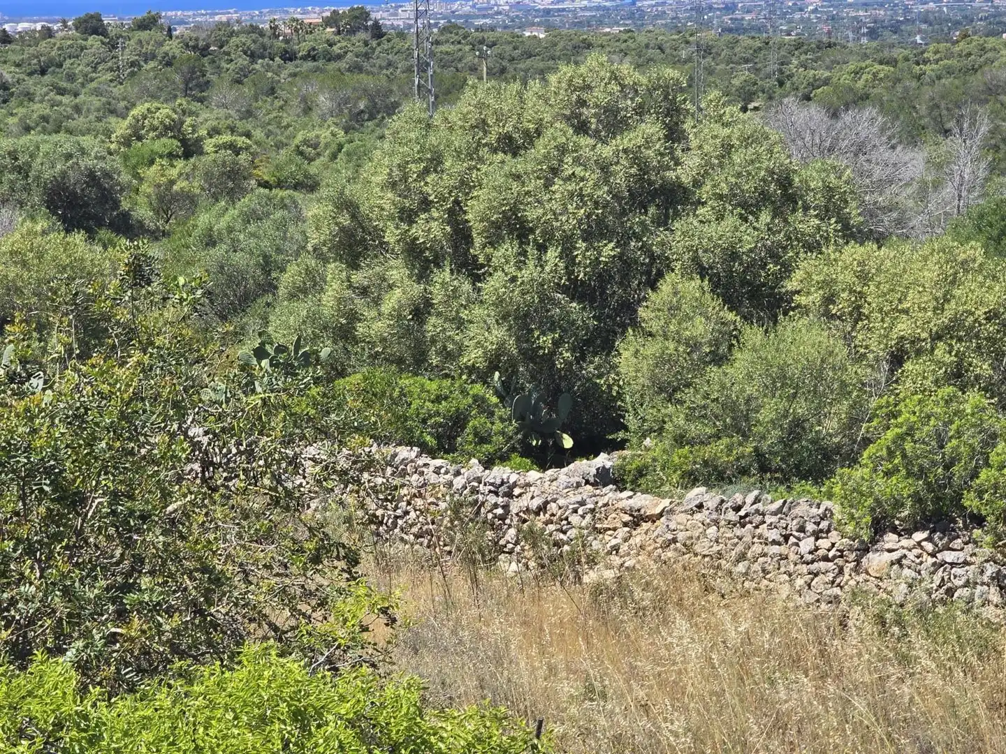 Finca rústica en venda en Marratxí amb Terrassa