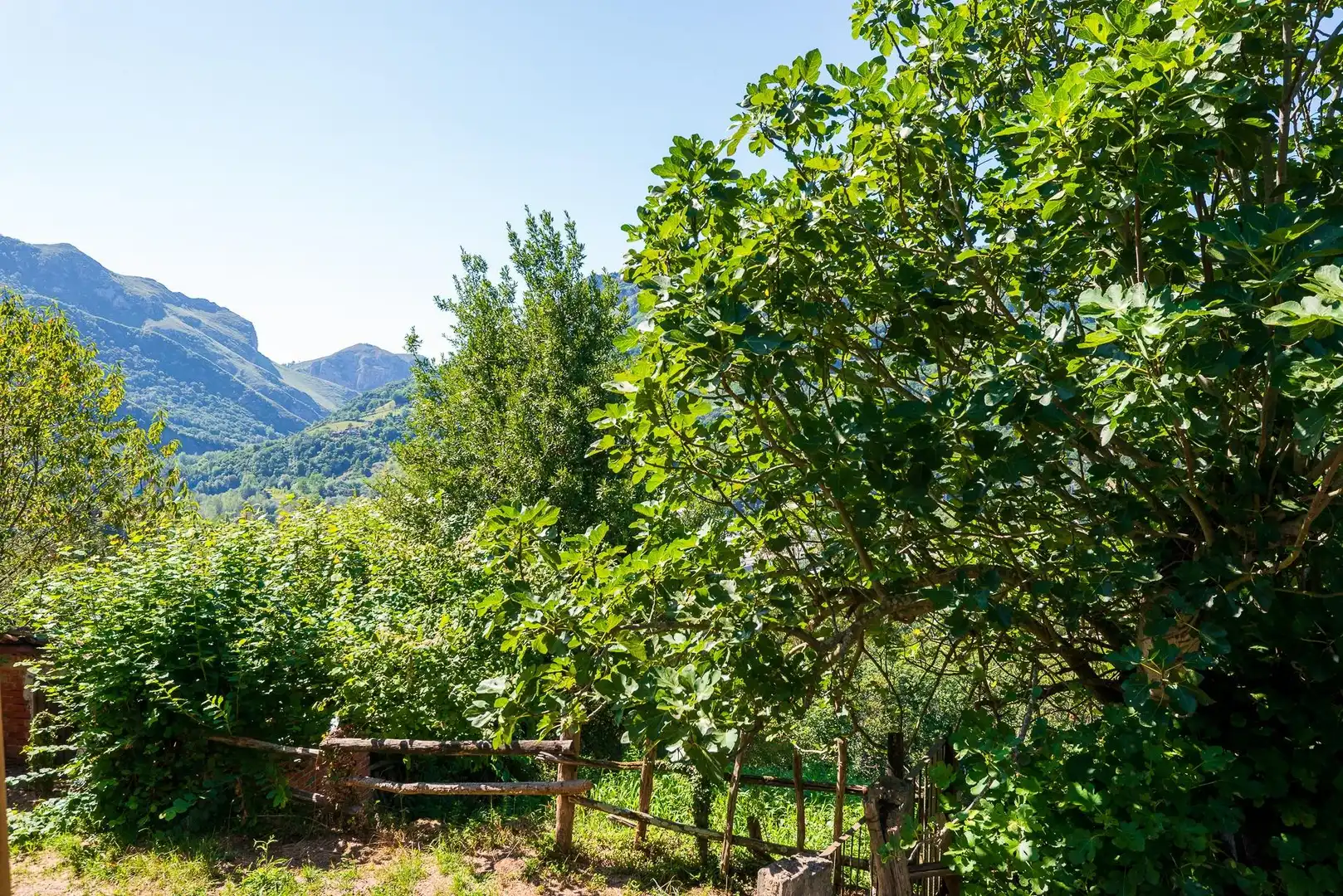 Jardí de Casa adosada en venda en Mieres (Asturias) amb Jardí privat, Terrassa i Moblat