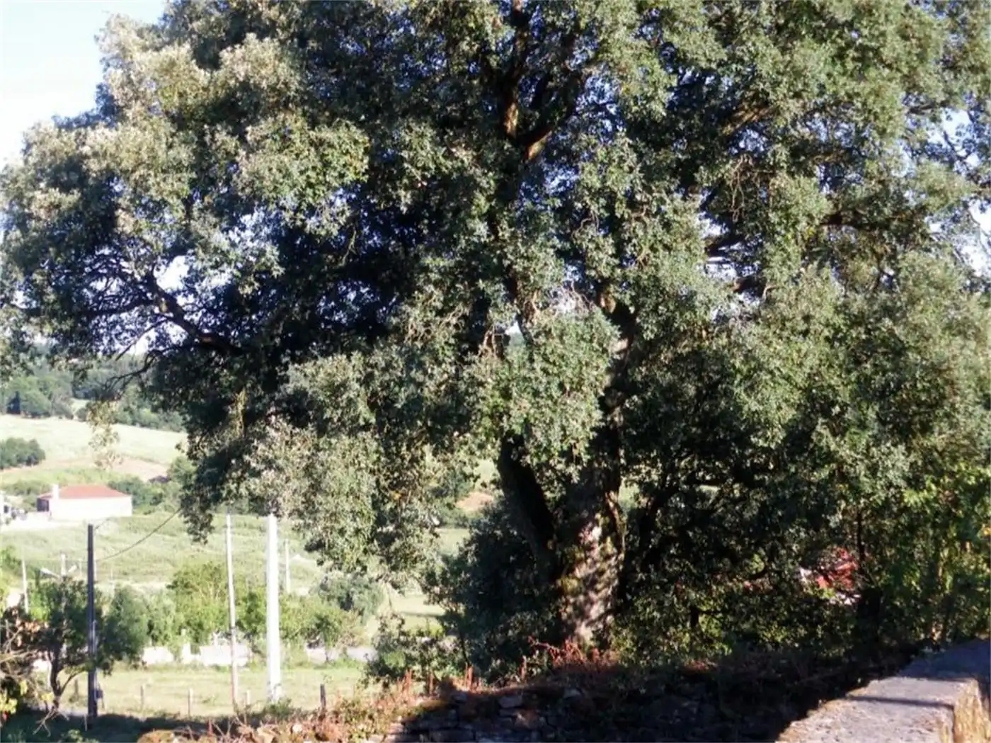 Haus zum Verkauf in Castiñeiro 17, imagen 2