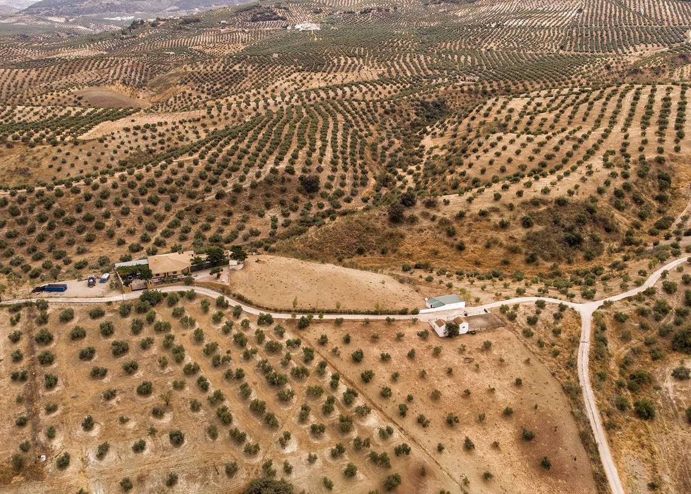Finca rústica en venda en Priego de Córdoba amb Piscina i Moblat
