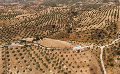 Finca rústica en venda en Priego de Córdoba amb Piscina