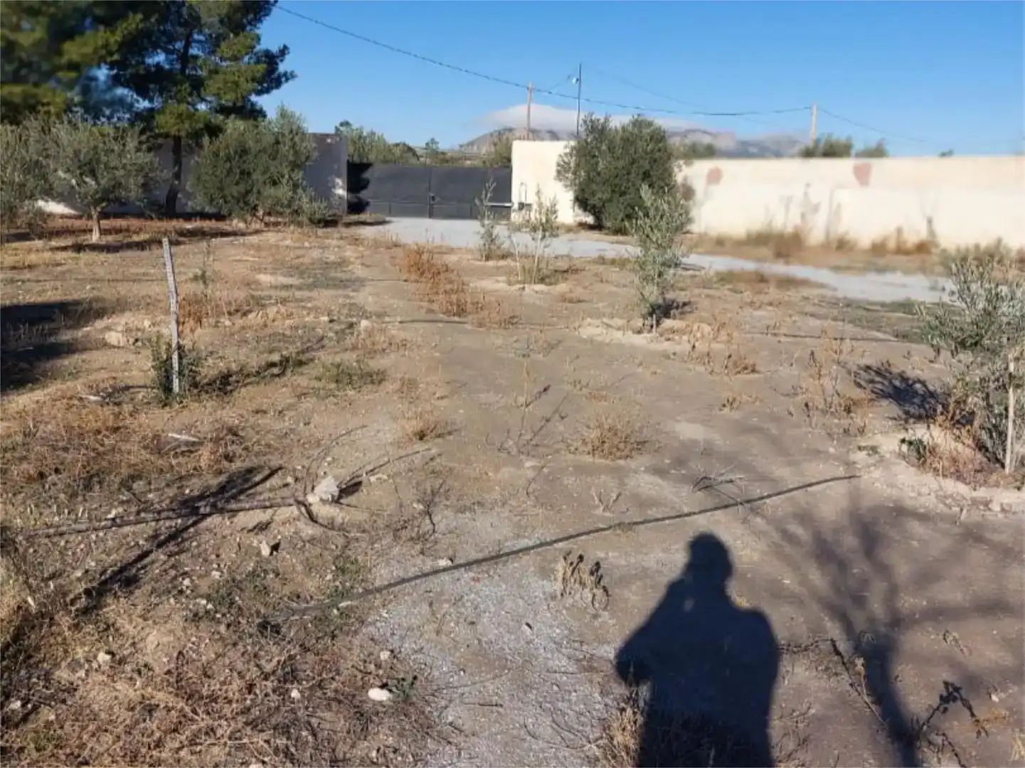 Casa o chalet en venta en Baza con Piscina