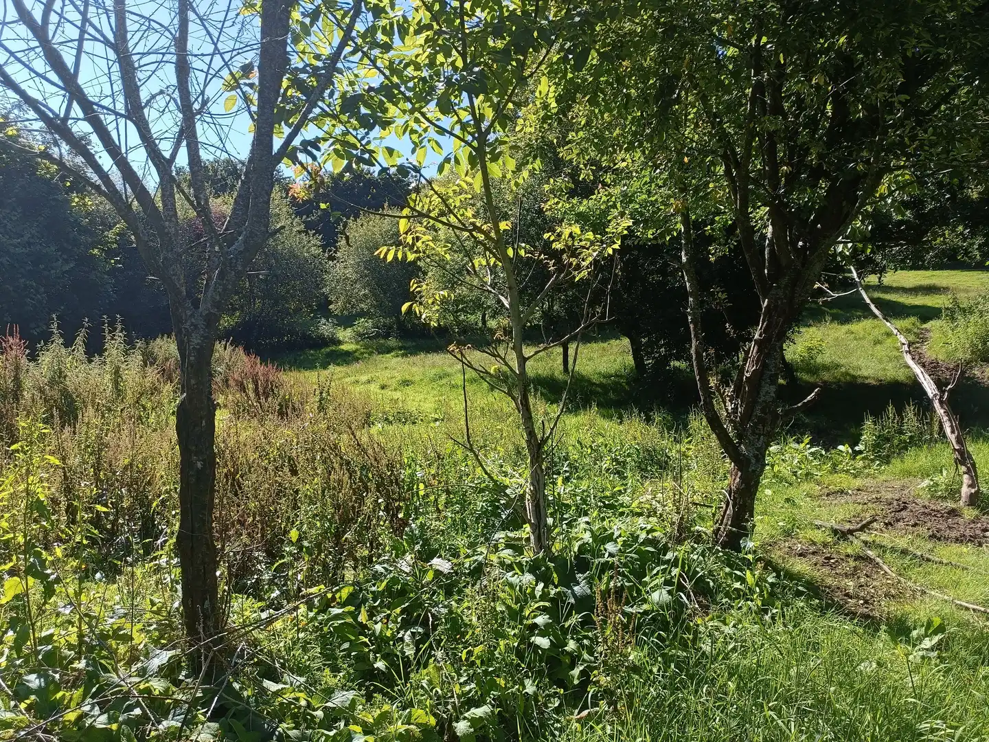 Casa o chalet en venta en Oza dos Ríos con Jardín privado y Trastero