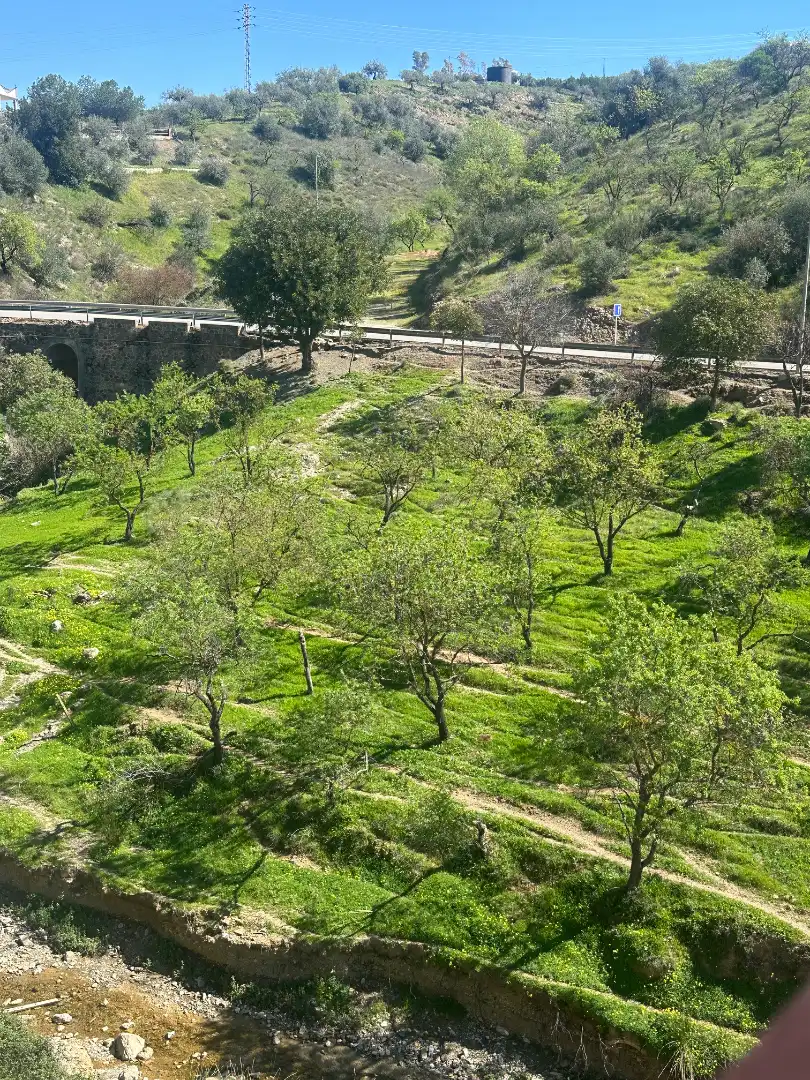Detached homes for sale in Riogordo  with Private garden, Terrace and Storage room