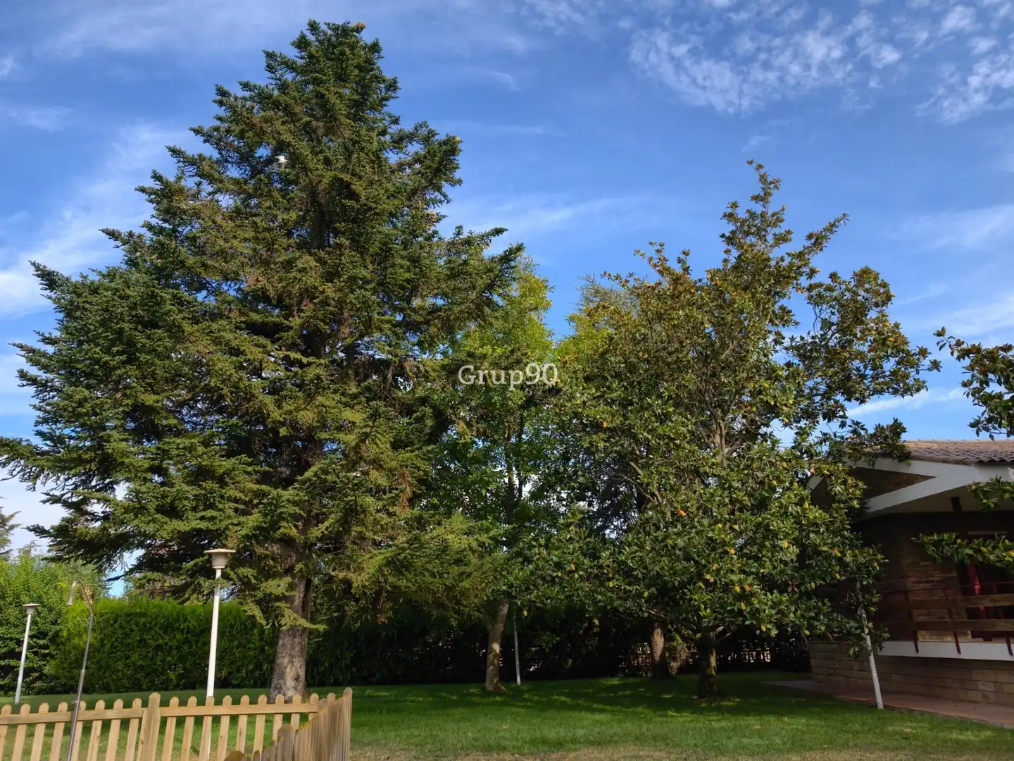 Chalet con piscina en venta en Alpicat, imagen 14