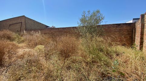 Foto 5 de Residencial en venta en Calle Zambullon, 56, Sanlúcar la Mayor, Sevilla