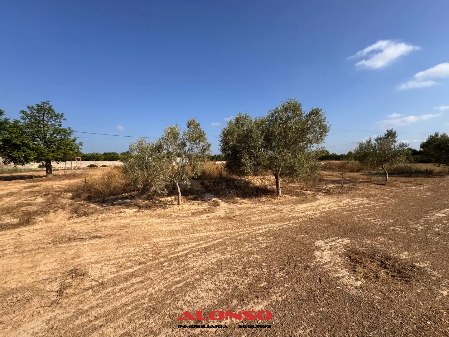 Rural land for sale in Pueblo, imagen 5