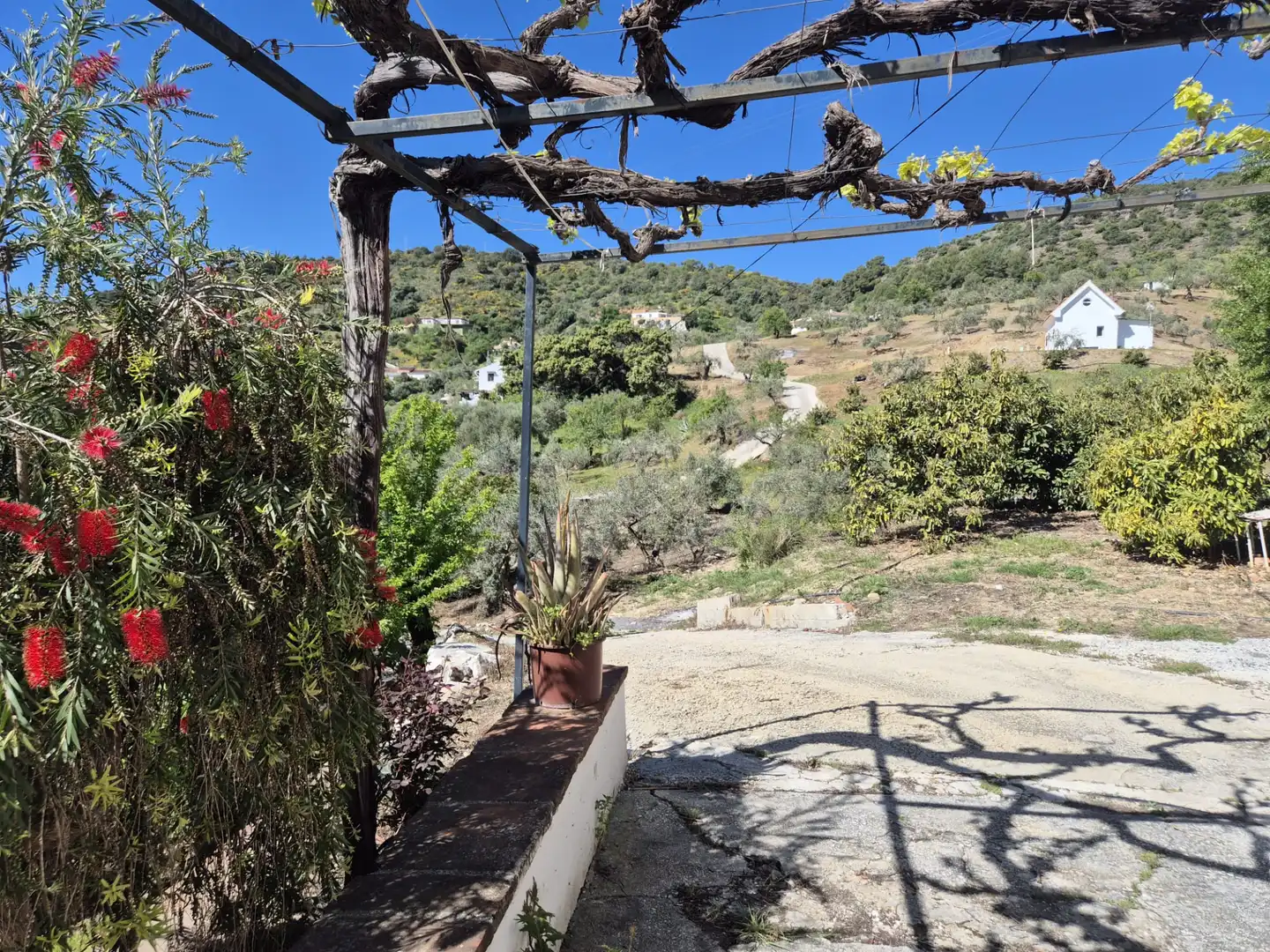 Jardí de Finca rústica en venda en Monda amb Calefacció, Jardí privat i Terrassa