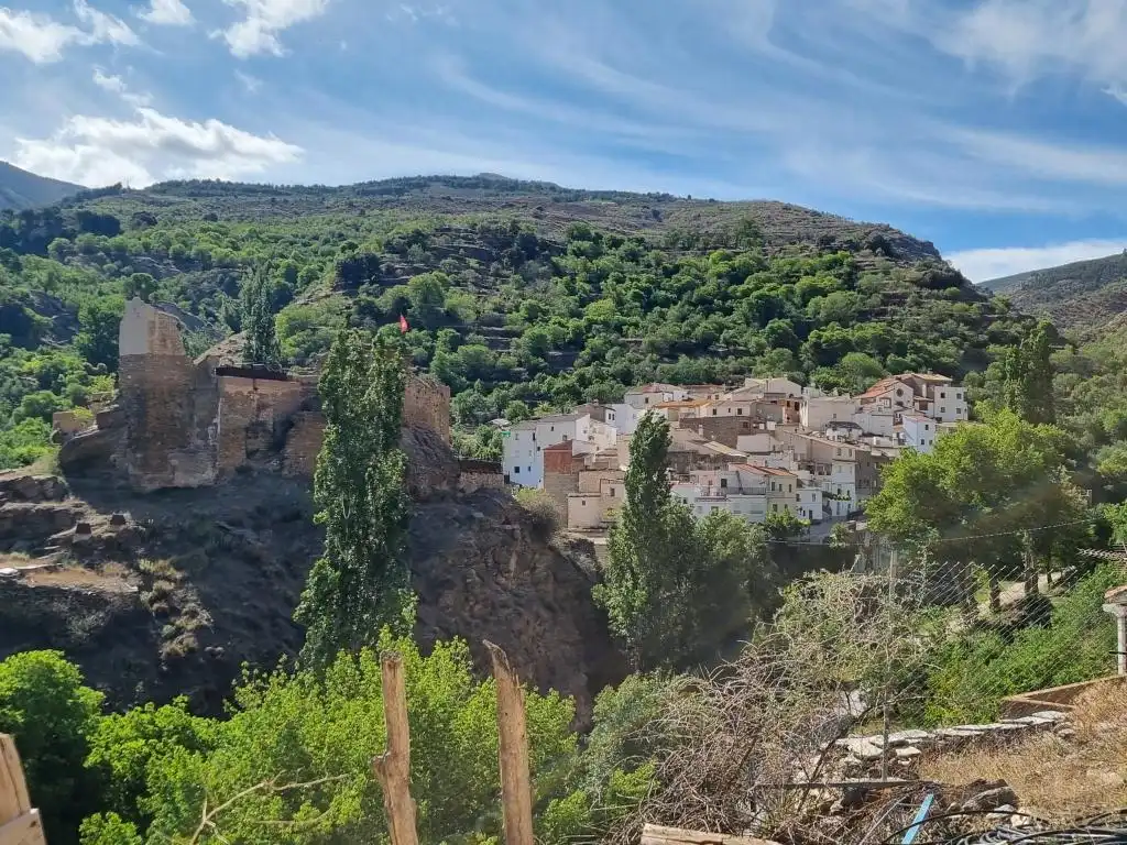 Exterior view of Buildings for sale in Bacares