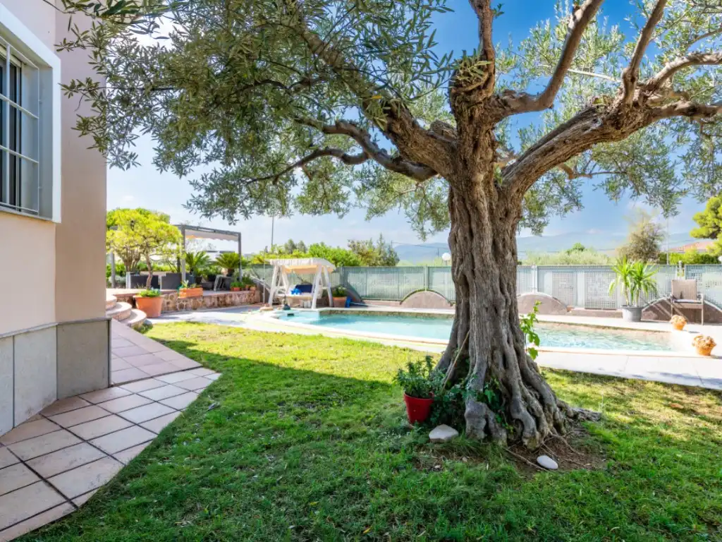 Piscina de Casa o chalet en venta en Altura