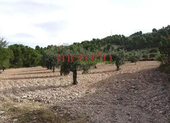 Casa rústica en venta en Castalla, imagen 7