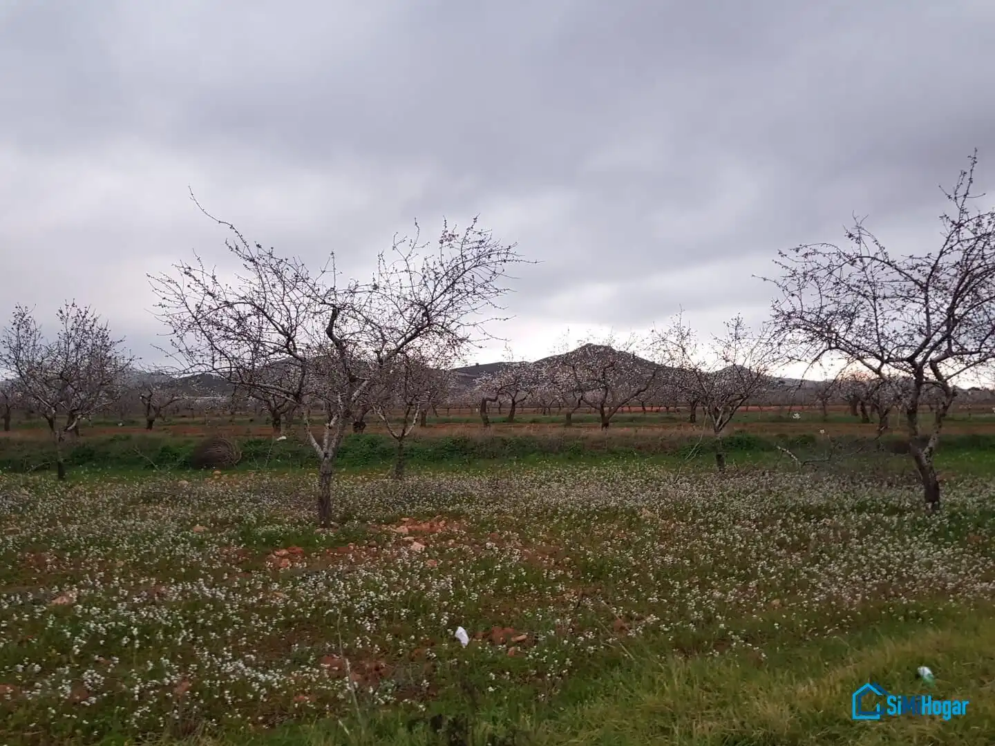Casa con giardino in vendita a Camino MOJON-LAS PALAS, imagen 30