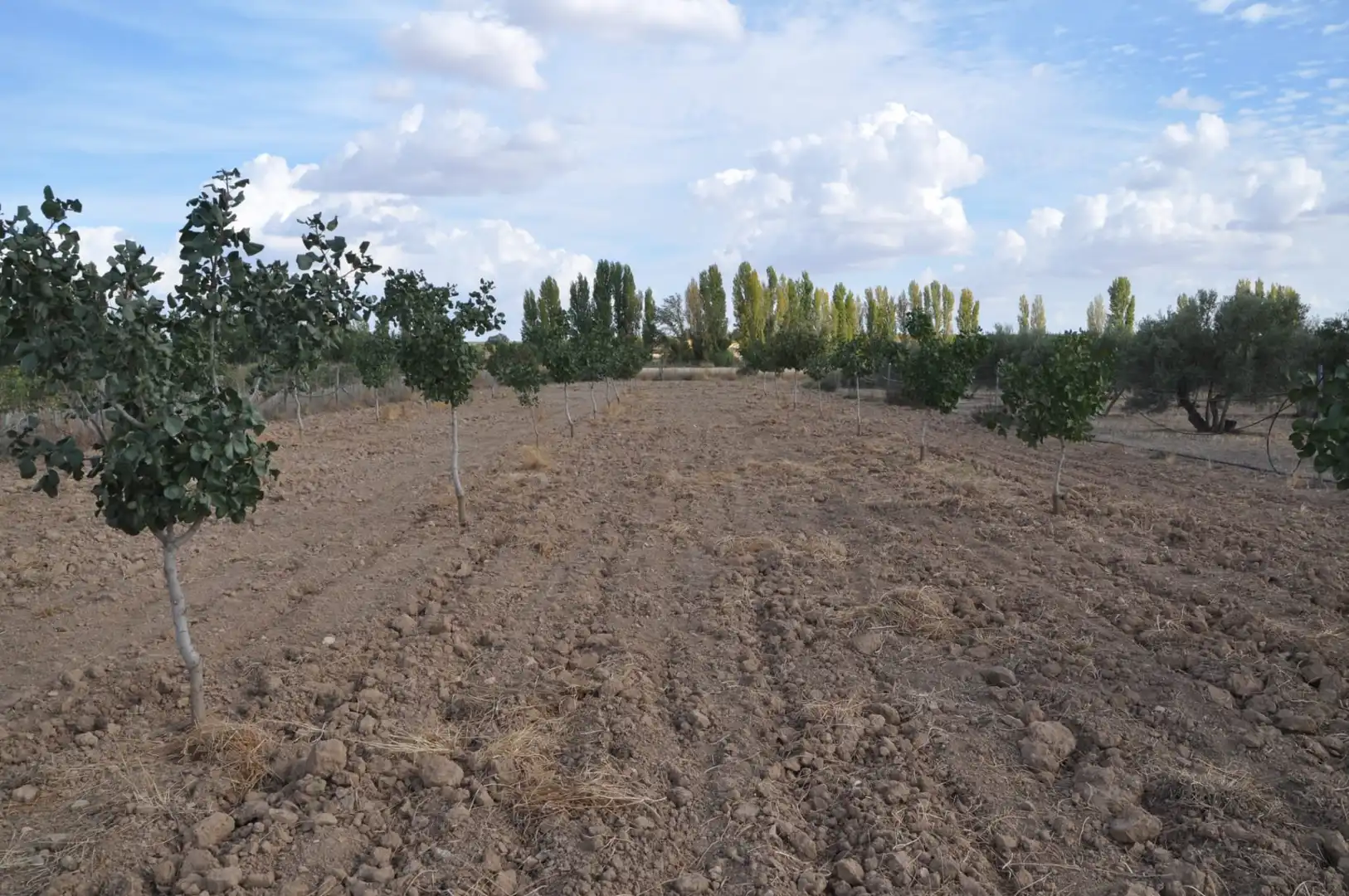 Residential for sale in Villanueva de Alcardete
