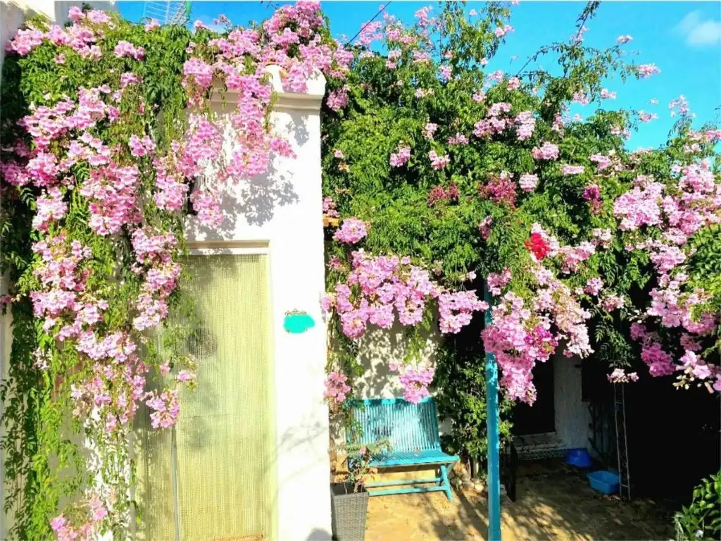 Casa o xalet en venda a Cap Martí - El Tossalet - Pinomar