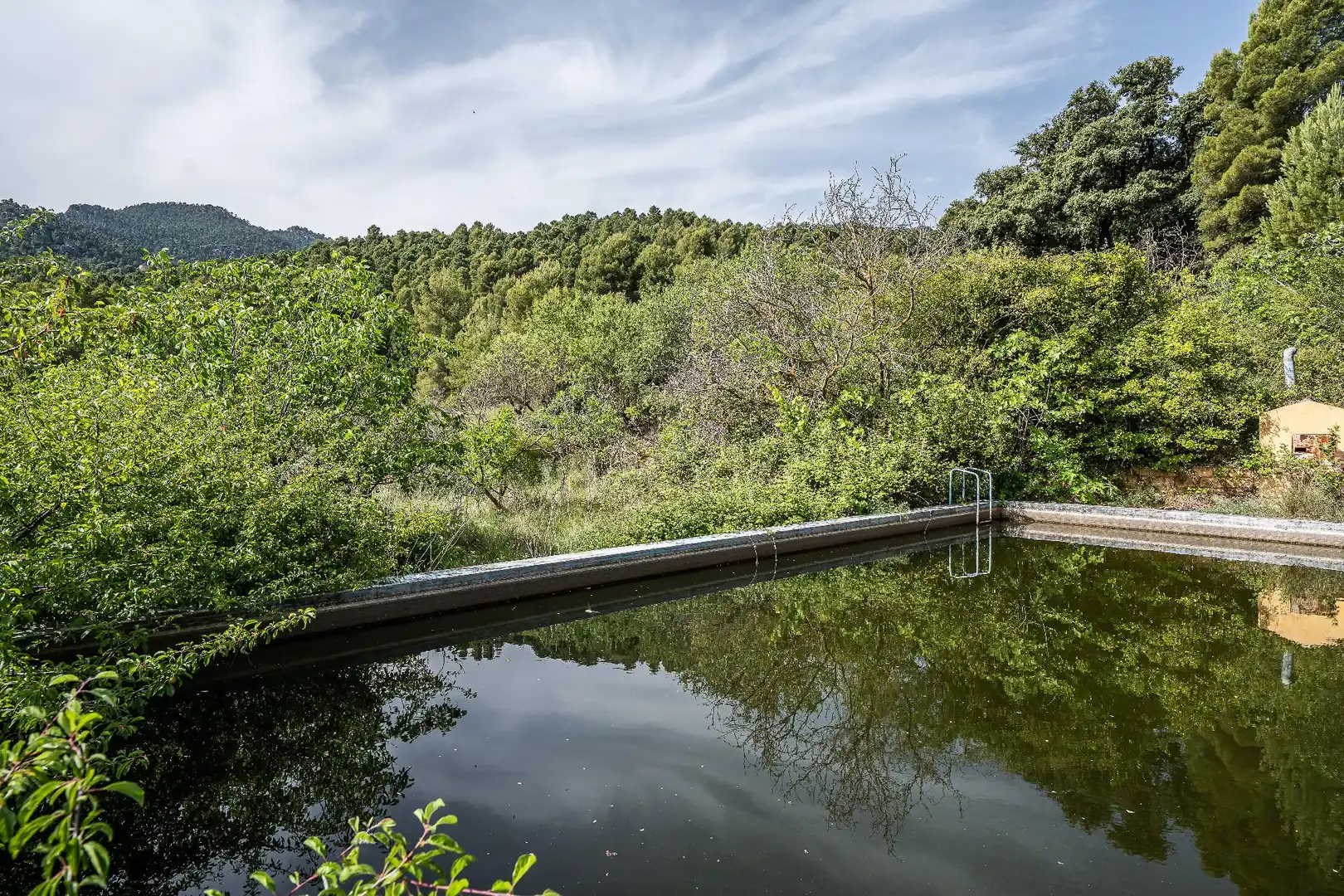 Piscina de Finca rústica en venta en Moratalla con Piscina