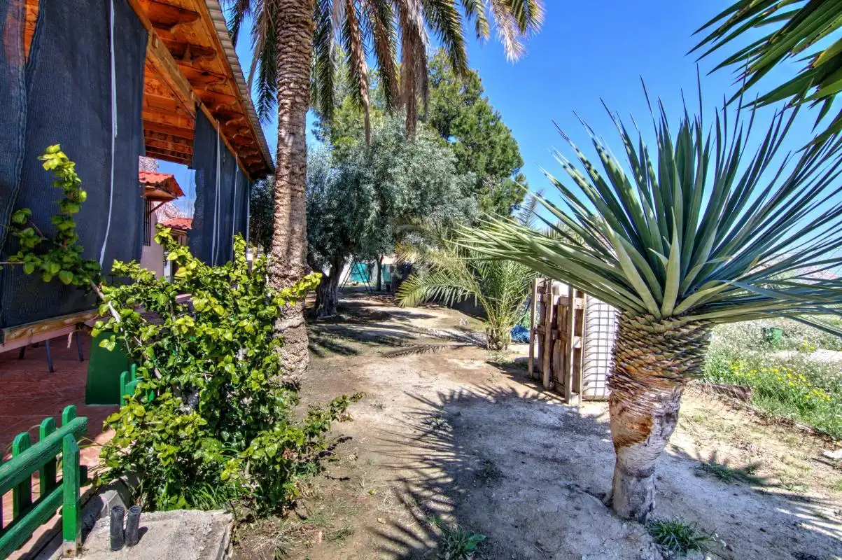 Jardí de Casa o xalet en venda en Alicante / Alacant amb Aire condicionat, Calefacció i Jardí privat