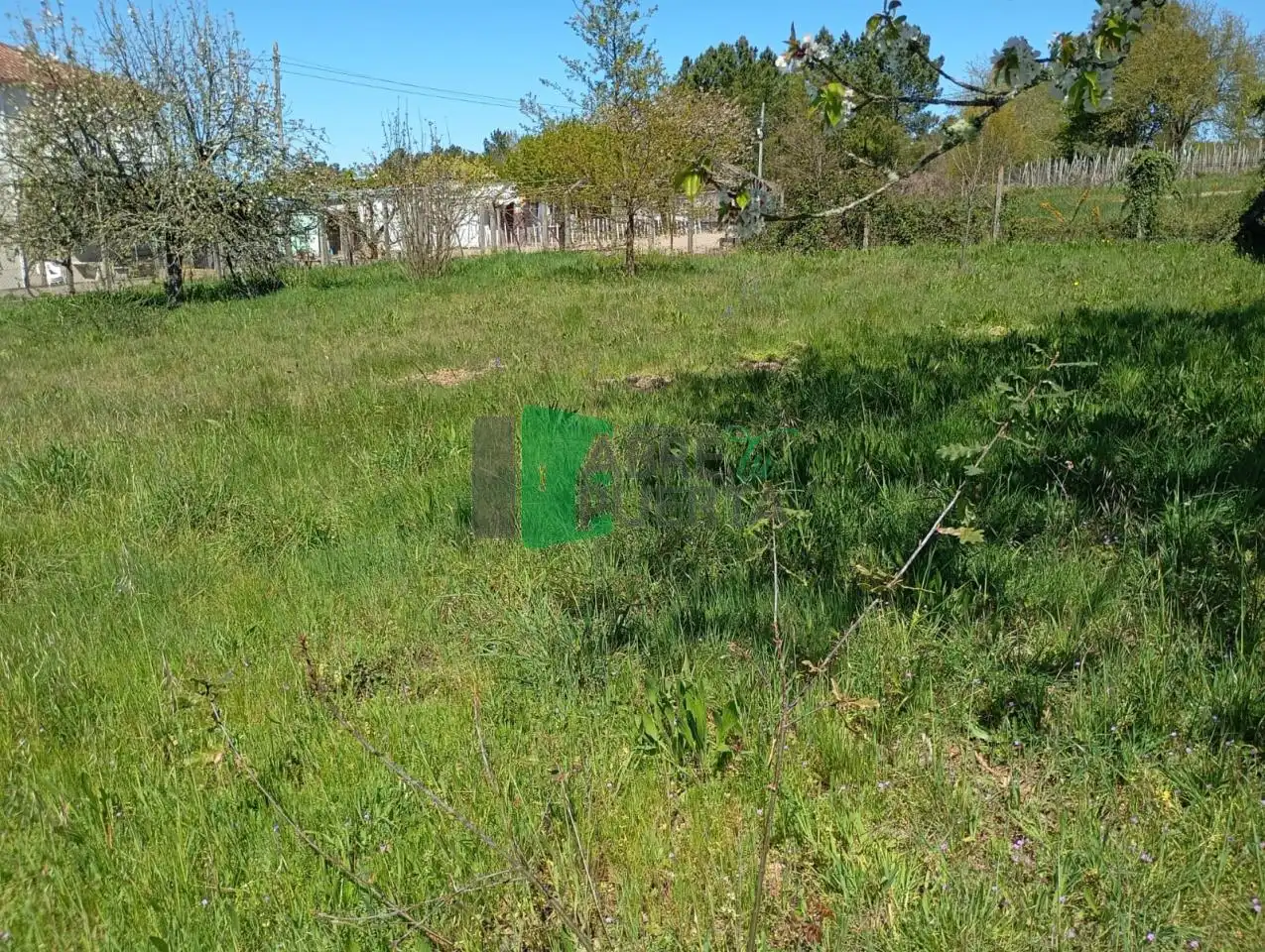 Terreni e lotti in vendita a Amoeiro, imagen 11