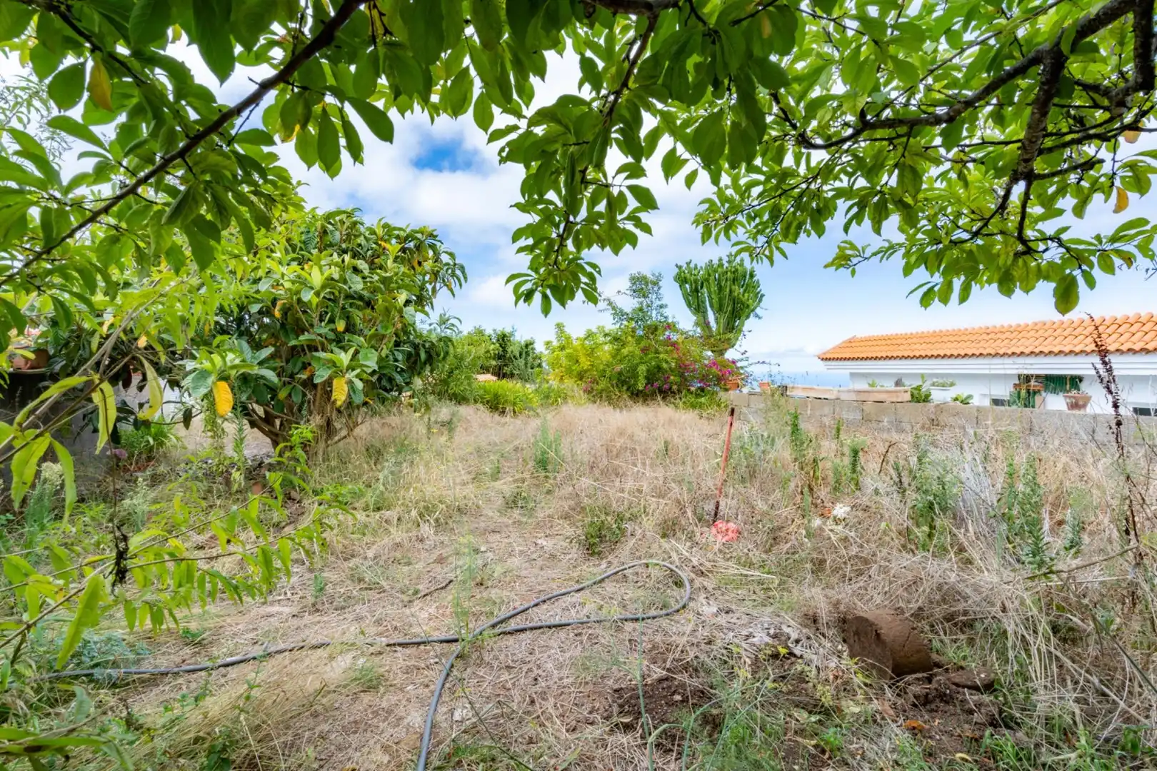 Villa à vendre à Avenida Avenida de Colón, 06, imagen 54