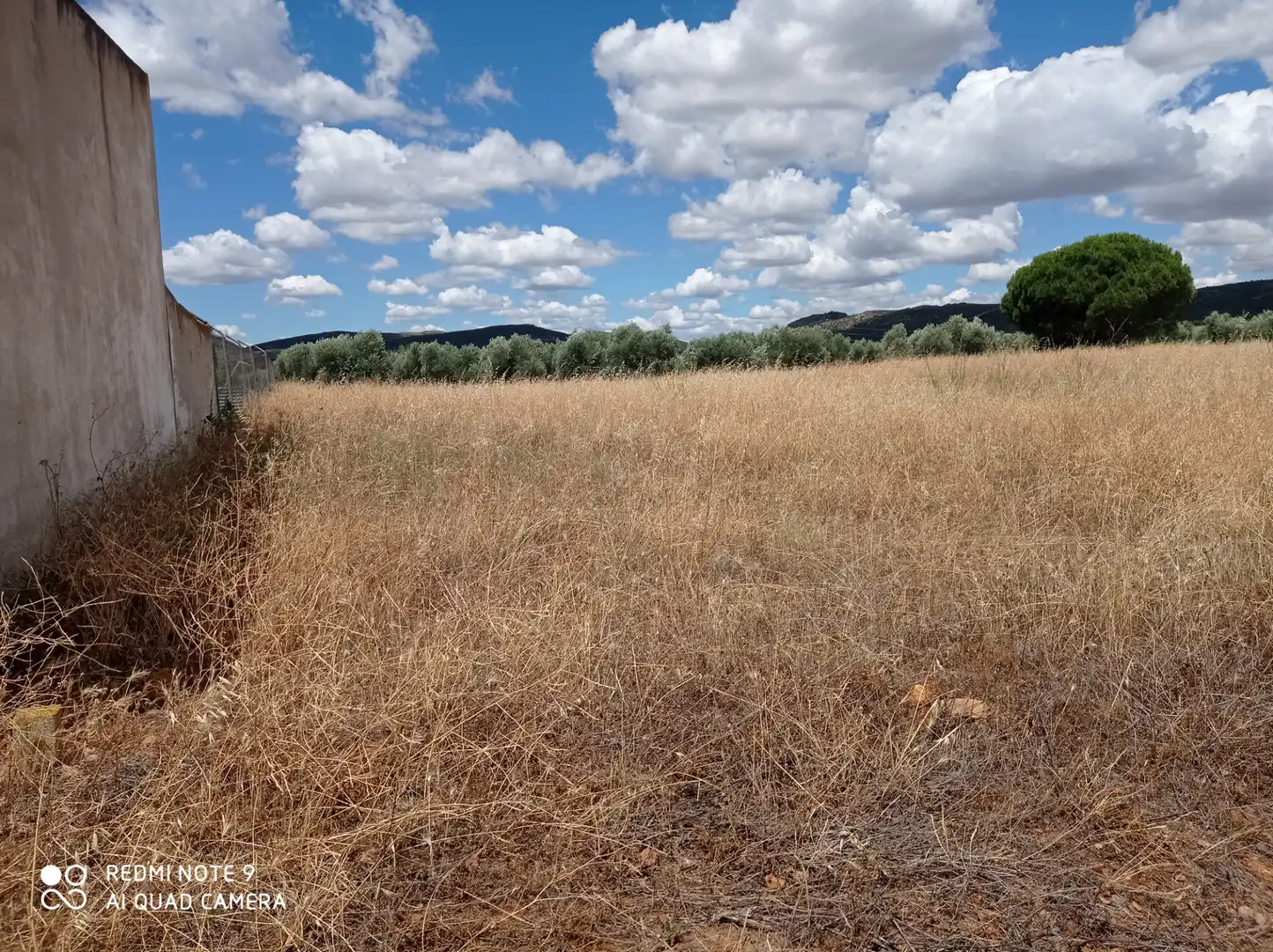 Terreno rustico in vendita a Picón, imagen 4