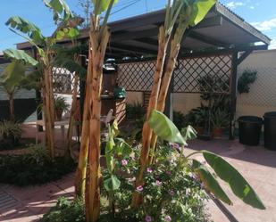 Jardí de Apartament de lloguer en El Puerto de Santa María amb Balcó