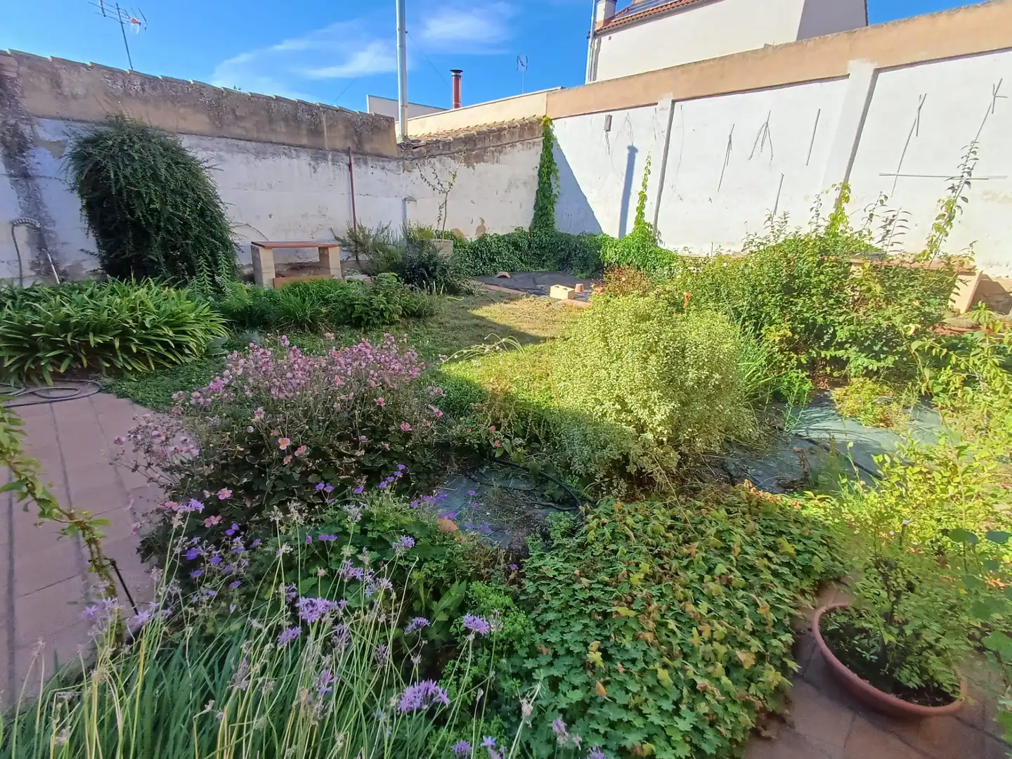 Reihenhaus mit Garten zum Verkauf in Calahorra, imagen 19