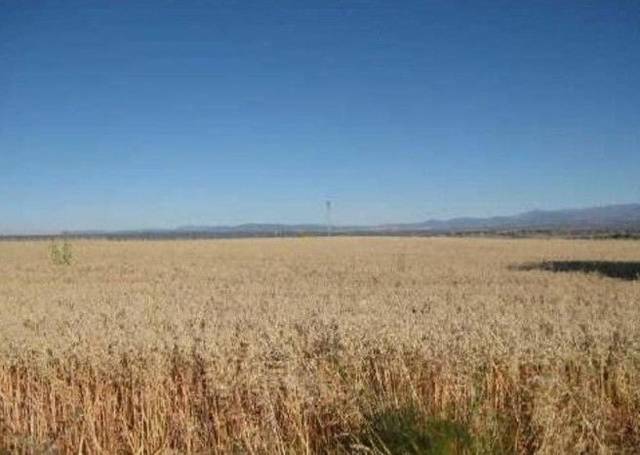 Terreno residencial en Venta en La Pedriza en Ciudad Jardín Valderrey