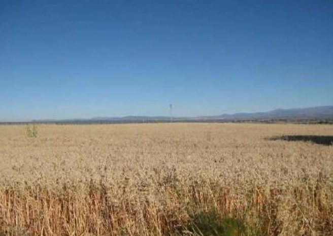 Residential for sale in Algete