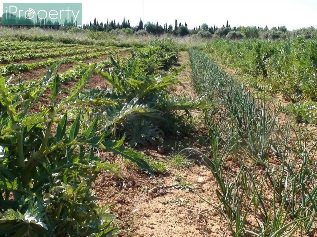 Jardín de Finca rústica en venta en El Vendrell con Aire acondicionado, Calefacción y Jardín privado