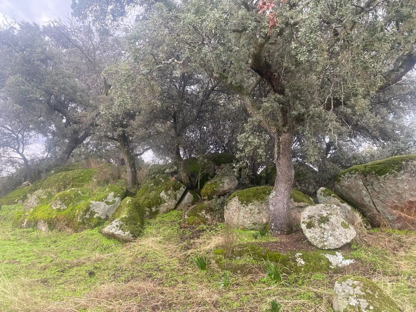 Terreni e lotti in vendita a La Estrella, imagen 5