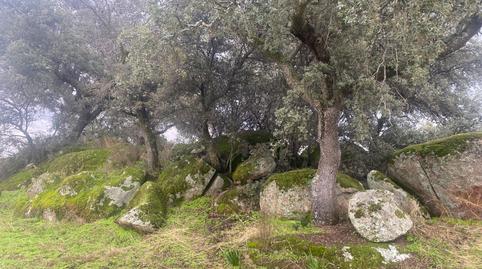 Foto 5 de Terreny en venda a La Estrella, Toledo