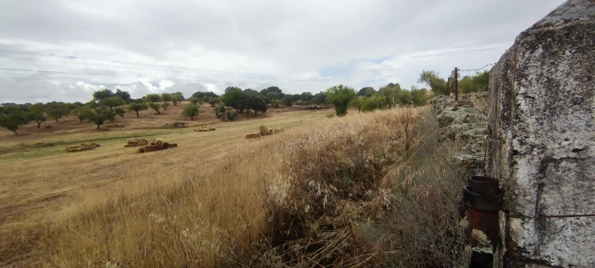 Terreni e lotti in vendita a Garrovillas de Alconétar, imagen 4