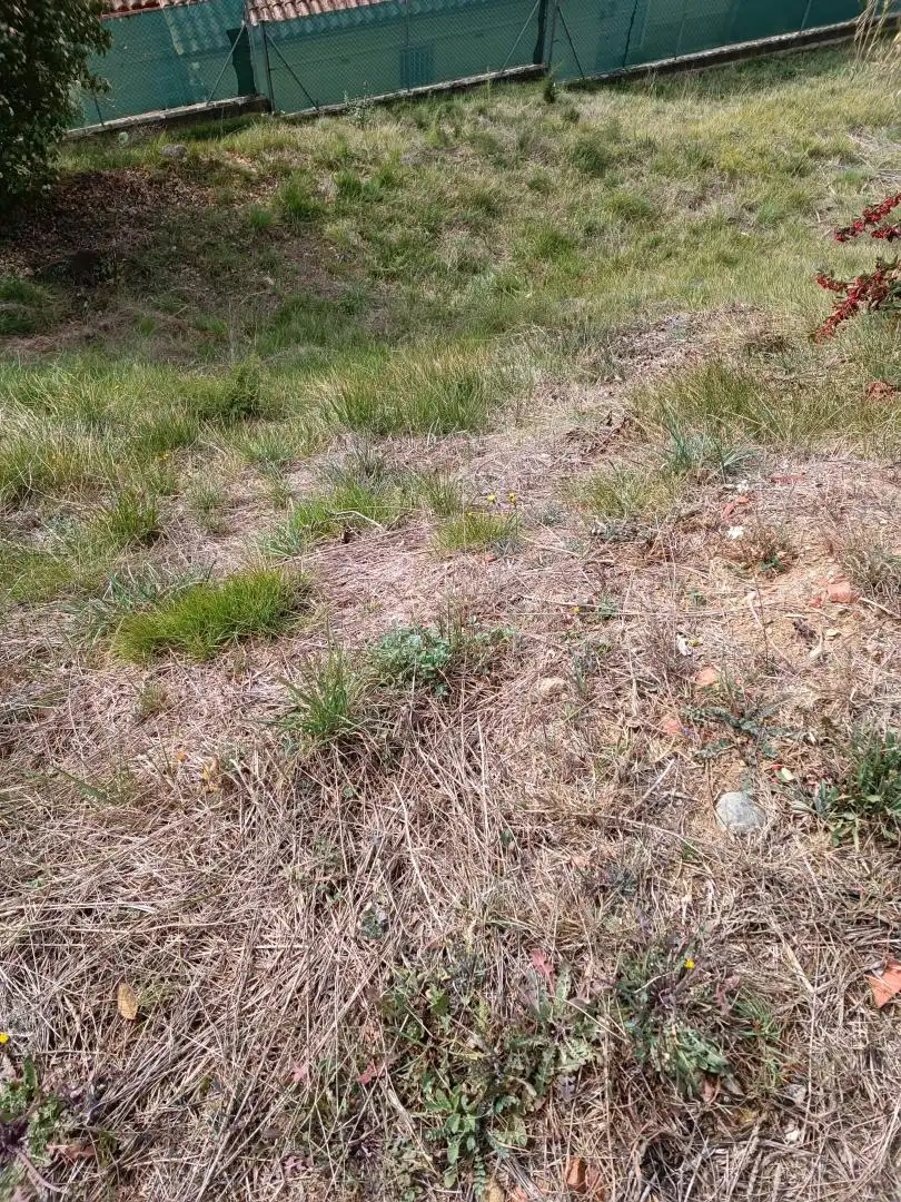Wohnbaugrundstück zum Verkauf in Sant Celoni, imagen 7