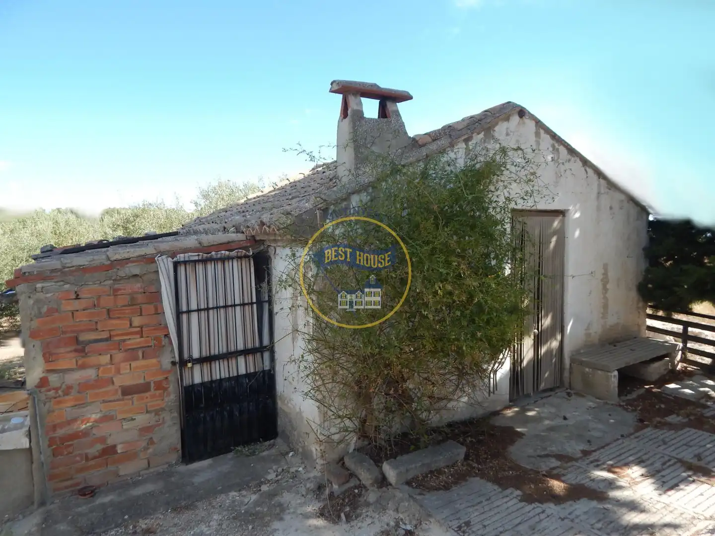 Terreny rústic en venda a Agullent