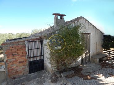 Terreno rustico in vendita a Agullent