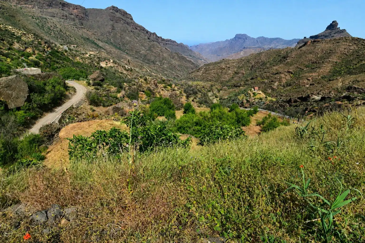 Vista exterior de Finca rústica en venta en Tejeda con Terraza