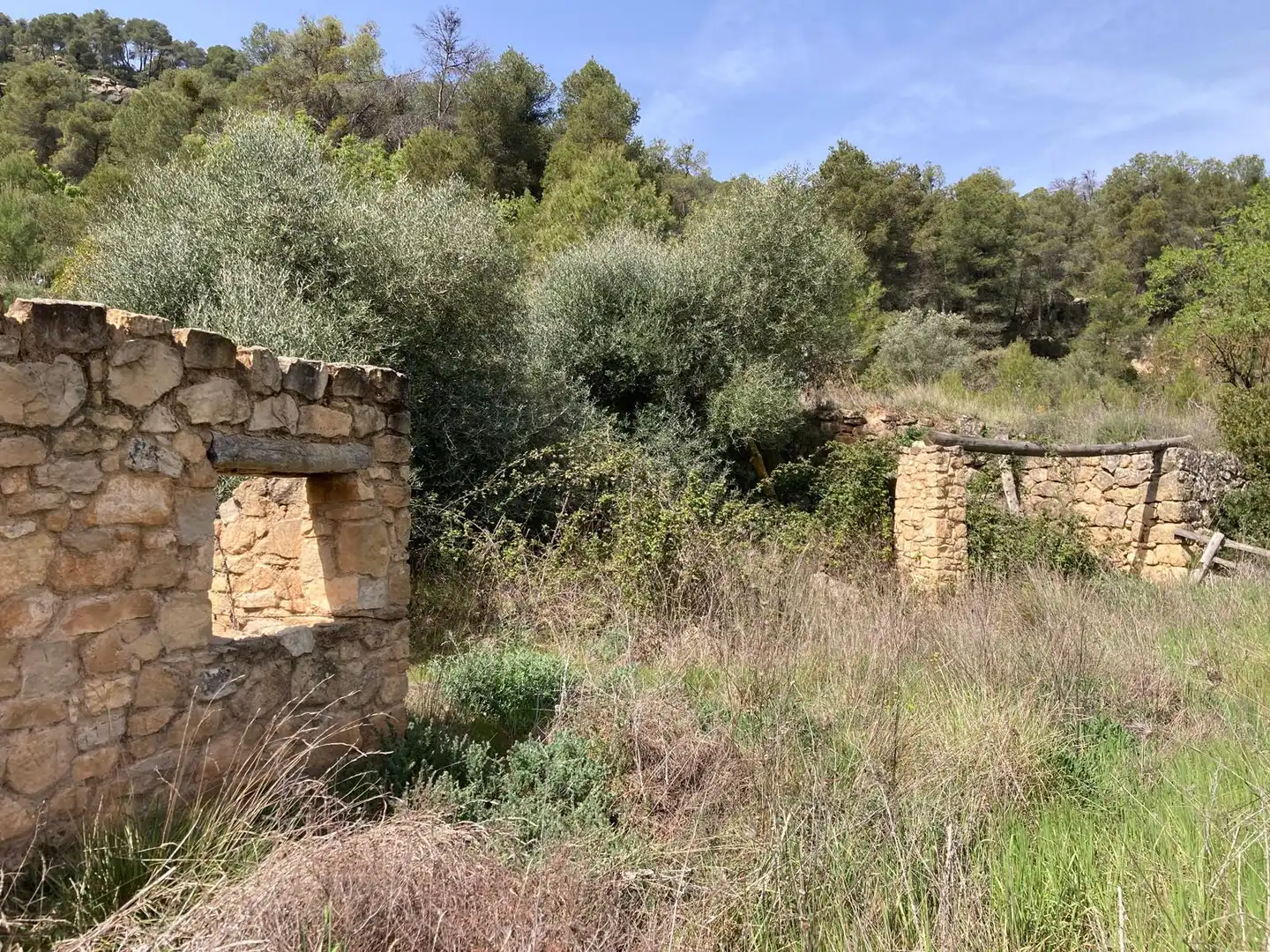 Terreni e lotti in vendita a Arens de Lledó, imagen 2