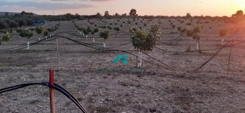 Residential zum verkauf in Les Borges Blanques