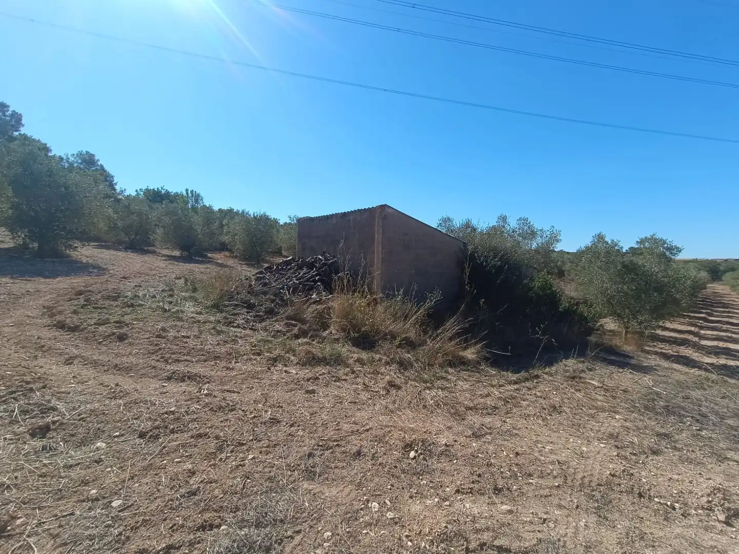 Terreny rústic en venda a La Secuita, imagen 19