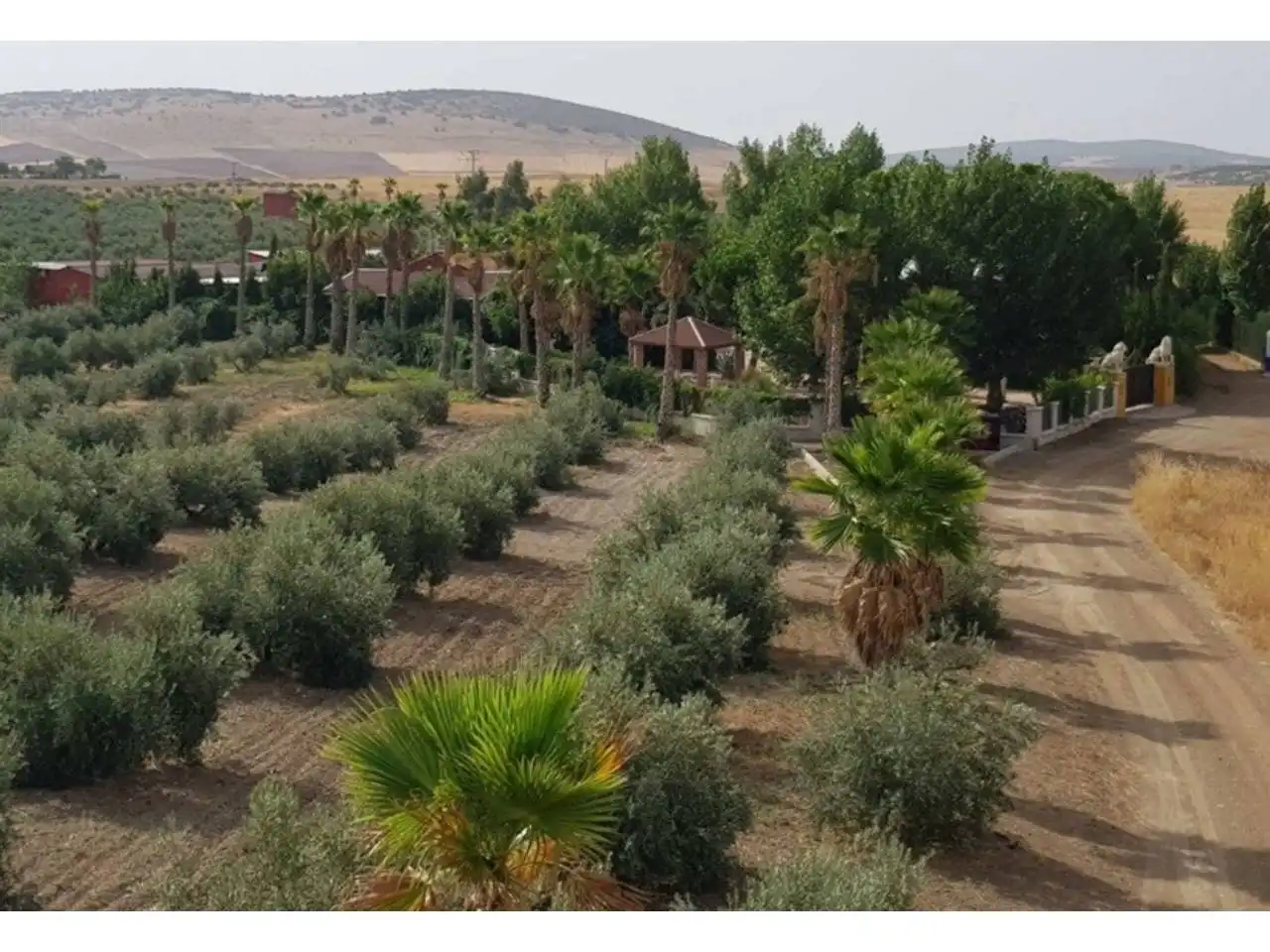 Terreno en venta en Santa Cruz de Mudela