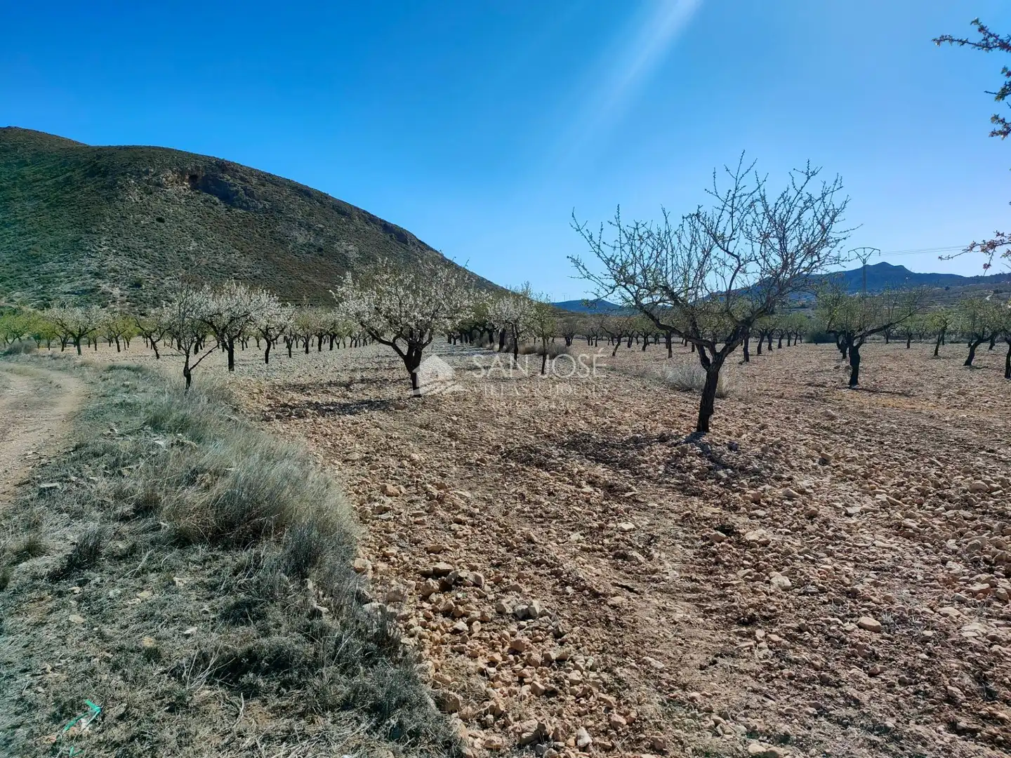 Terreno rustico in vendita a La Murada - Los Vicentes, imagen 9