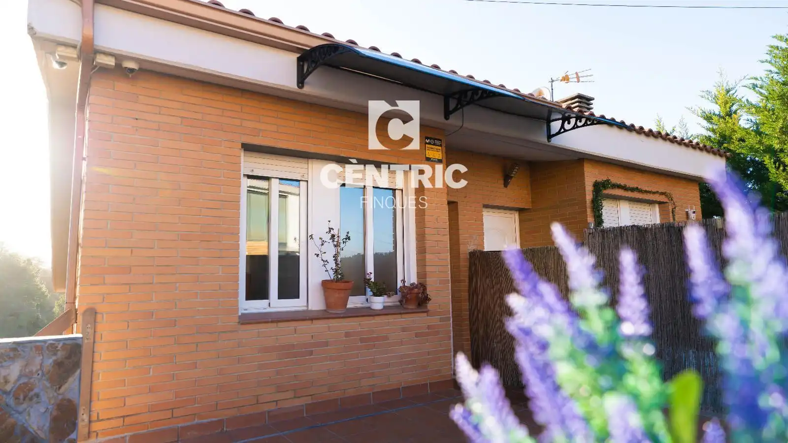 Casa o chalet en venta en Can Palet de Vista Alegre