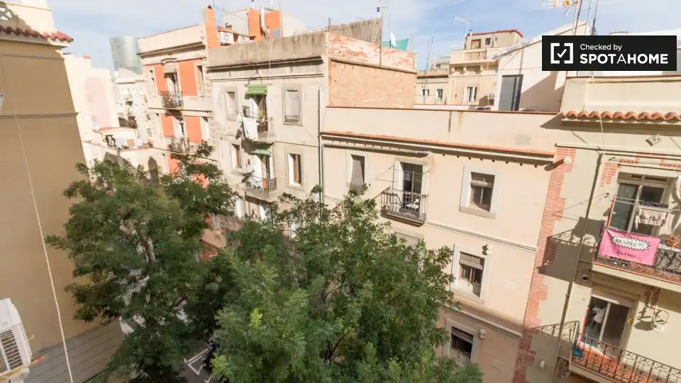 Piso en alquiler en Ciutat Vella, imagen 5