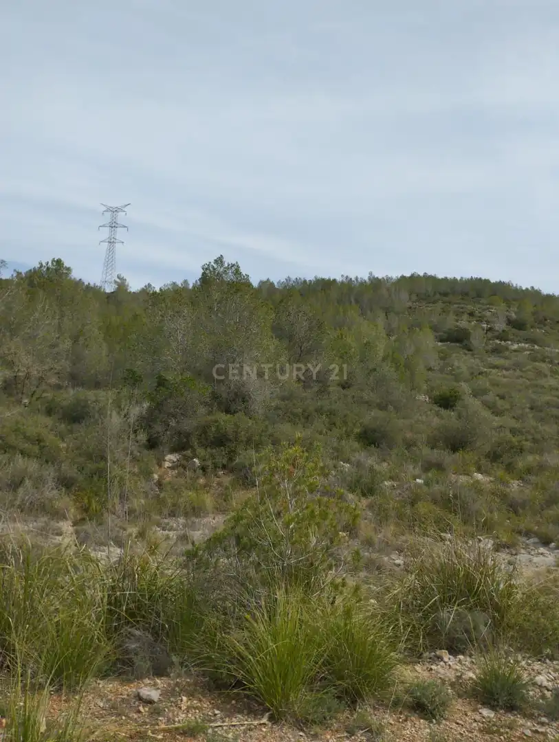 Terreny rústic en venda a poligono 3, imagen 23