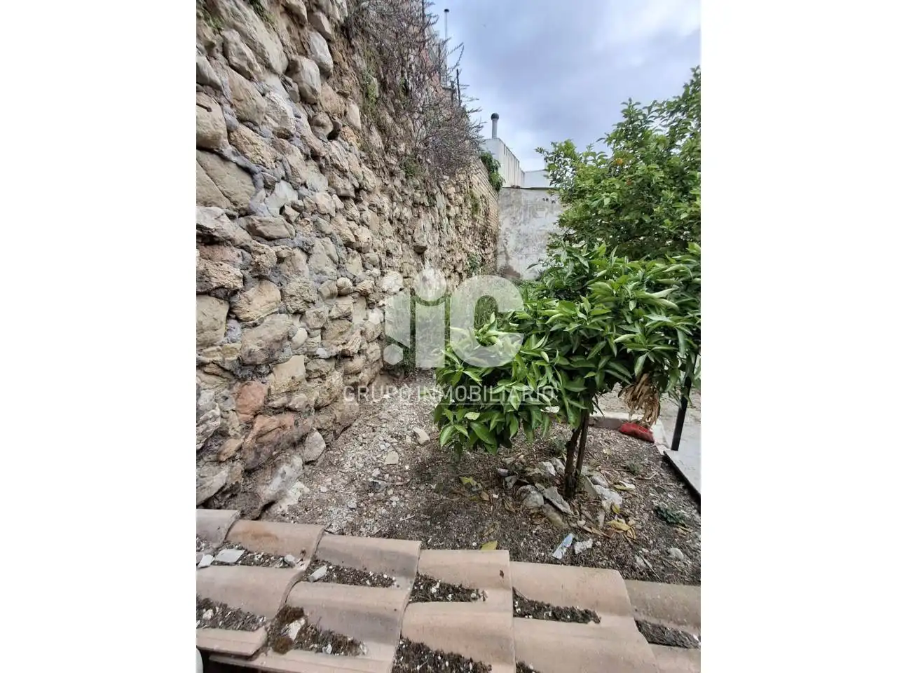 Houses for sale in Luque