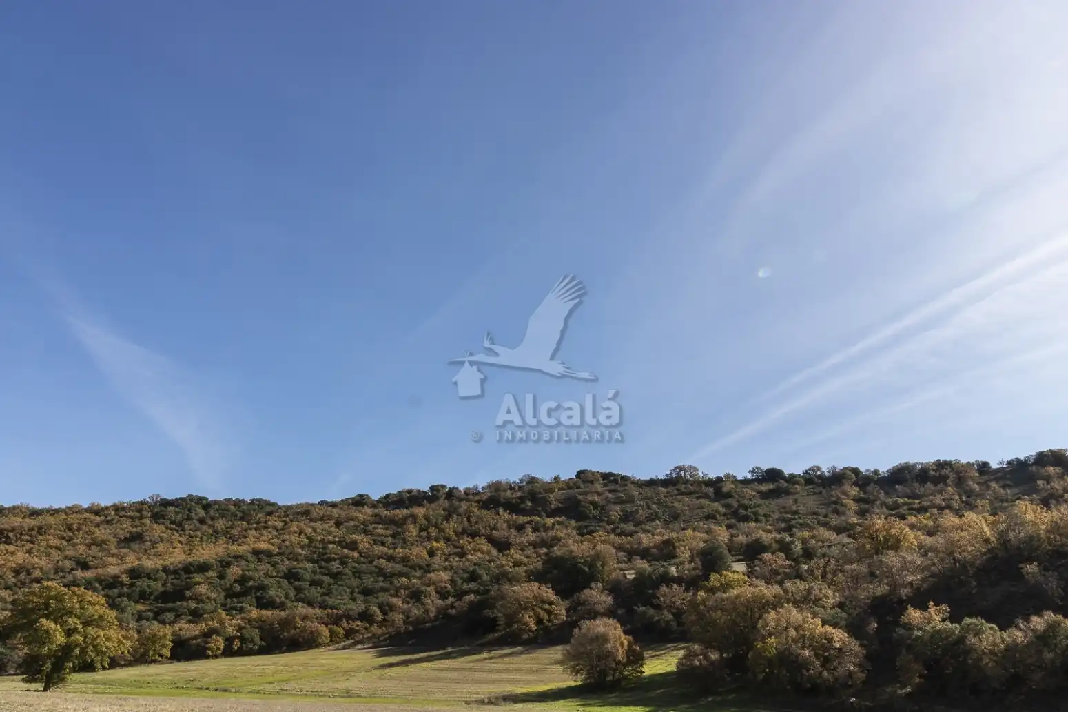 Terreno en venta en Yebes