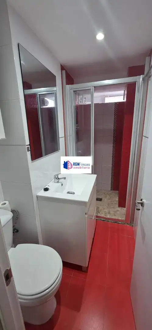 Baño de Piso de alquiler en Sevilla con Aire acondicionado y Amueblado