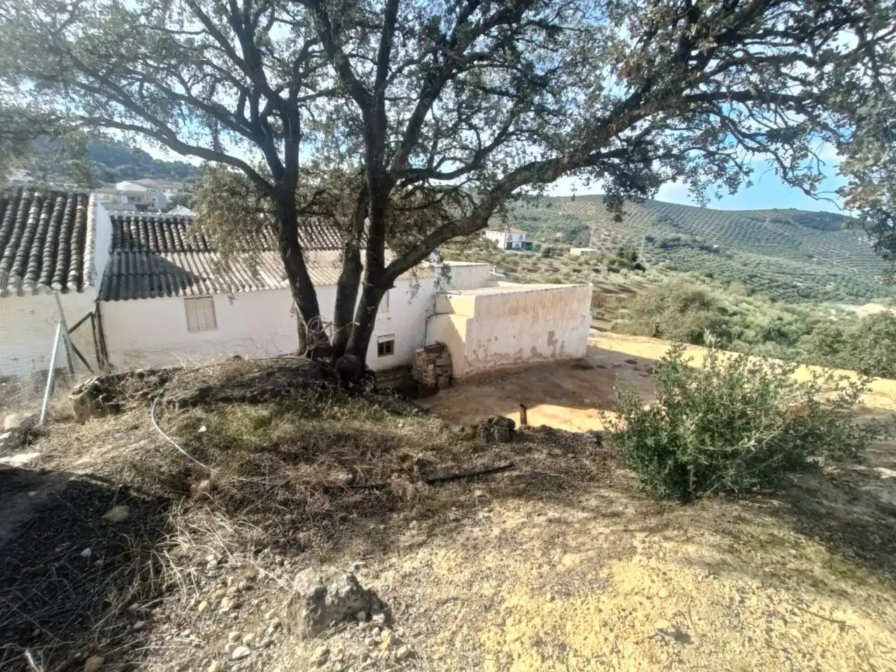 Casa o xalet en venda en Loja amb Jardí privat i Moblat