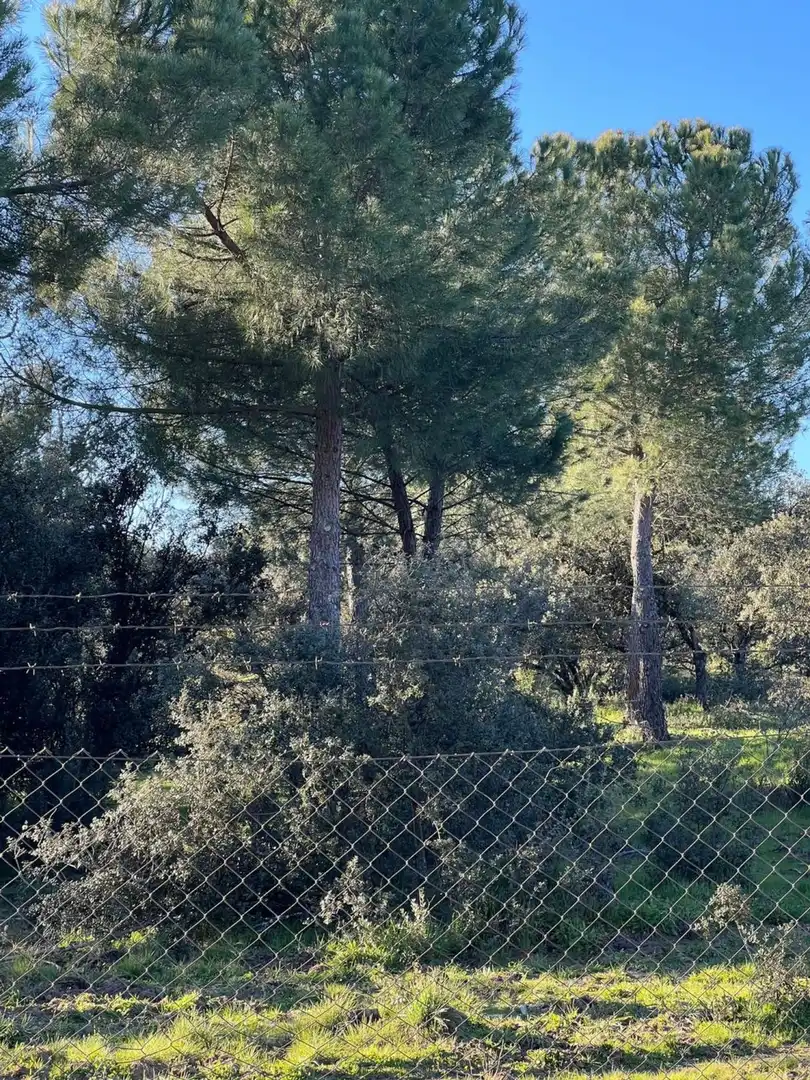 Terreny residencial en venda a Moncloa - Aravaca, imagen 9