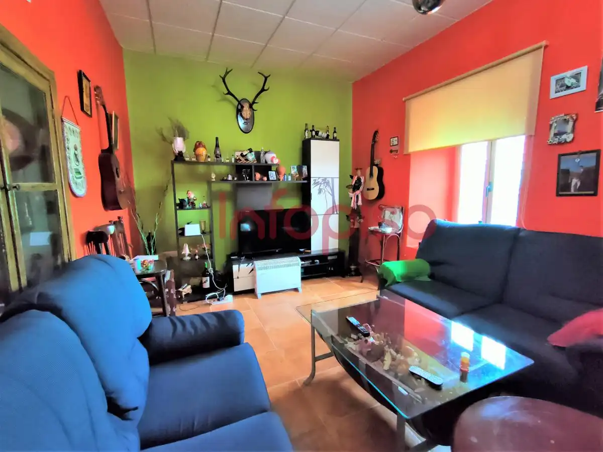 Sala d'estar de Finca rústica en venda en Almuradiel amb Terrassa